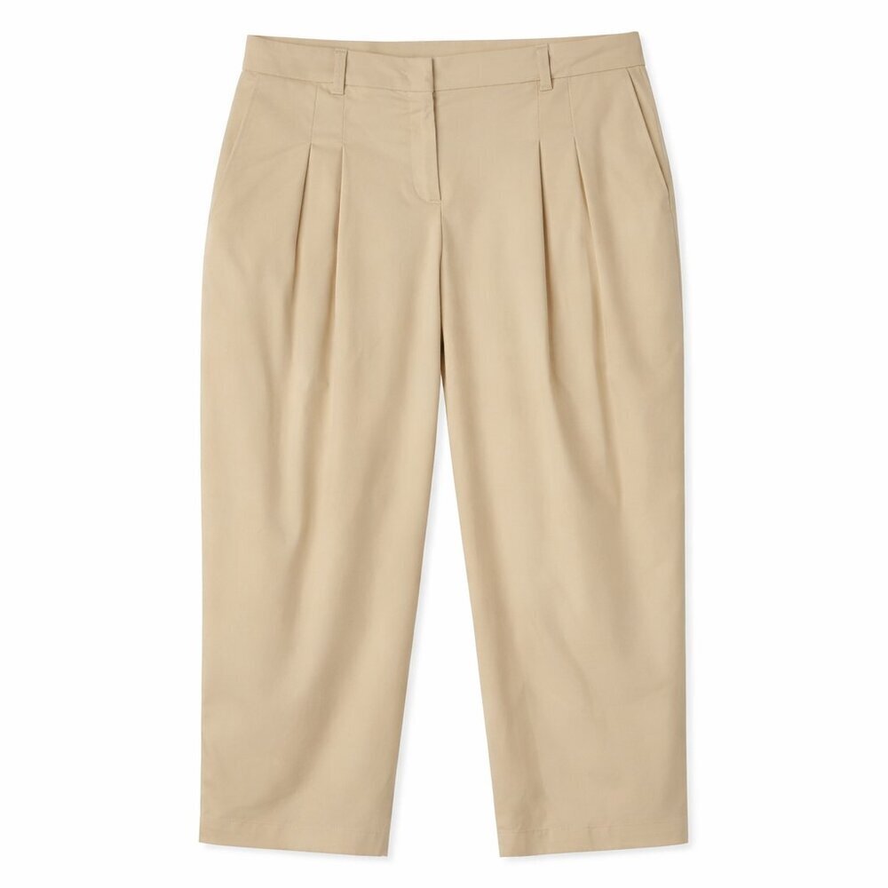 Nicole Williams English x Bar IIII Pleated Wide Leg Relaxed Tan Pants Size 6